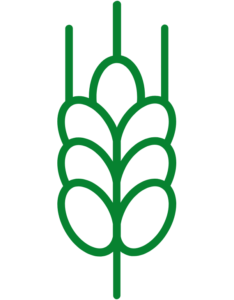 green logo nobg